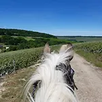 Du Paradis *