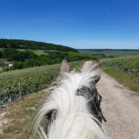 Du Paradis *